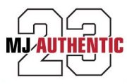 MJ Authentic 23